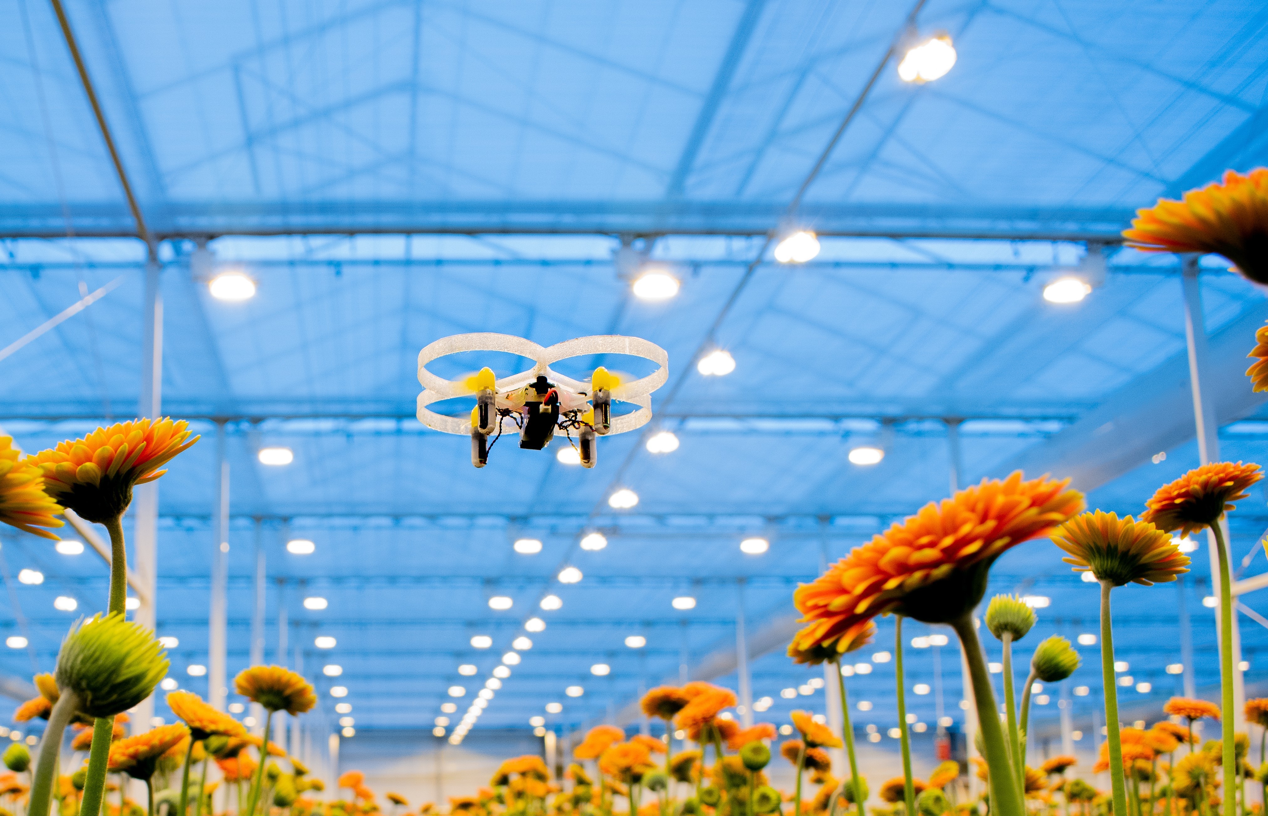 Pats - Indoor Drone Solutions