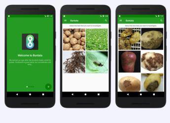 Buntata App