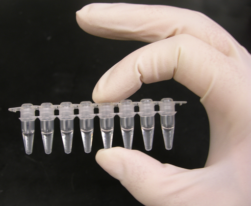 PCR and qPCR tests powered by Qualiplante & BIOREBA