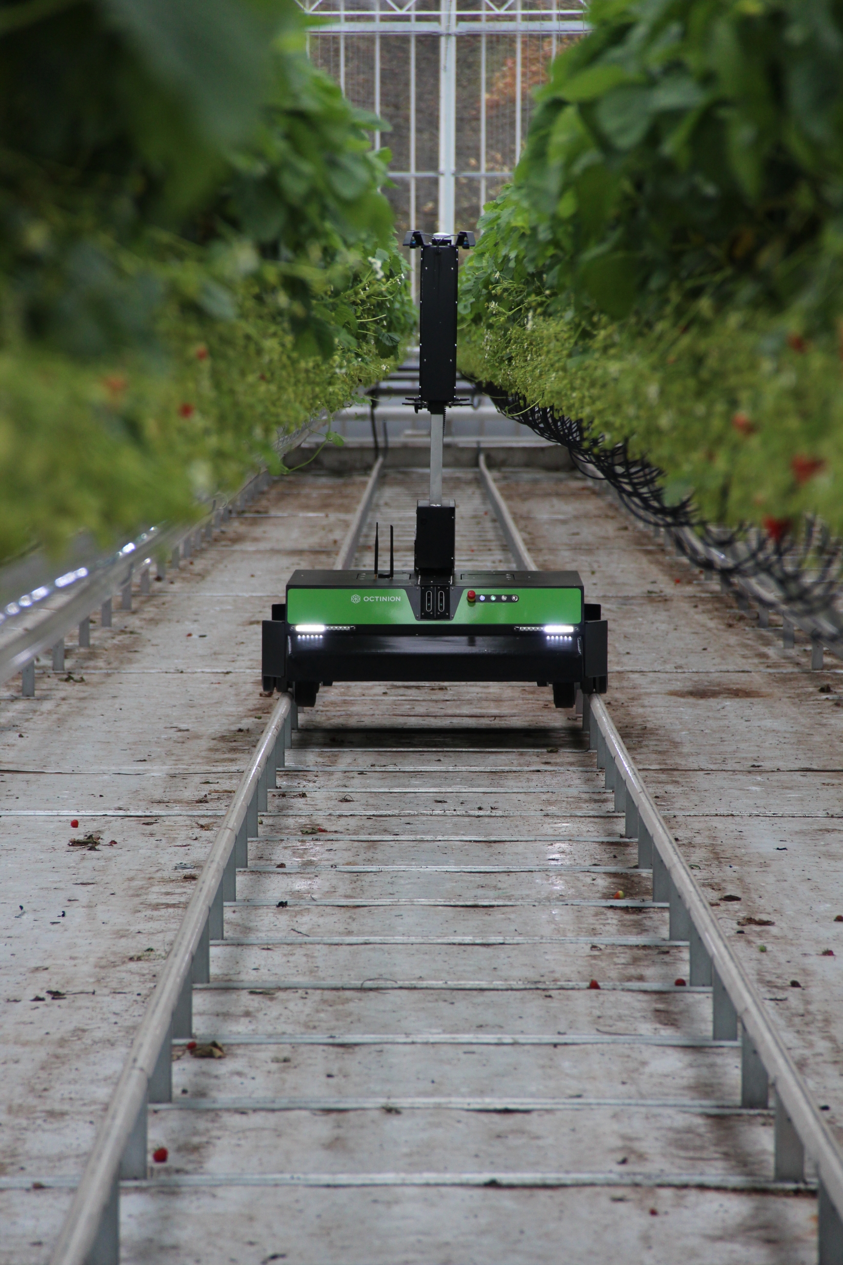 Lumion UV-C robot